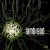 aent_4487636-3548417_2.jpg
