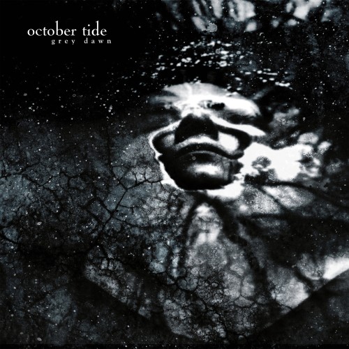 aent_4488276-3515621_1.jpg