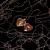 aent_4497812-3540090_2.jpg