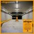 aent_4147569-2914113_1.jpg