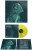 aent_4077441-2816163_2.jpg
