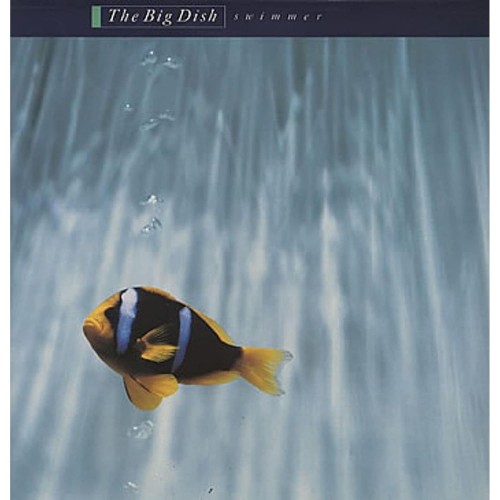 cover_amazon_385179543.jpg