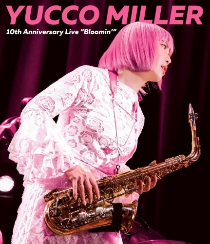 cover_amazon_385219541.jpg