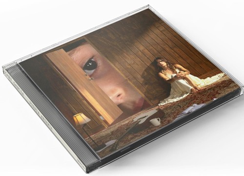 cover_amazon_389739569.jpg