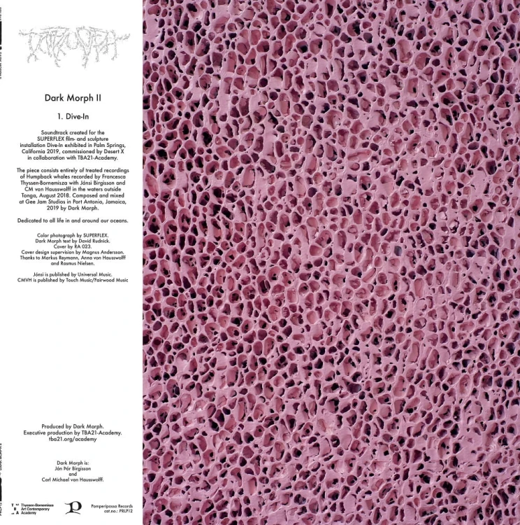 DARK MORPH - DARK MORPH II - PRLP12 (BACK SLEEVE) 5053760058489-B.jpg