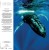 DARK MORPH - DARK MORPH II - PRLP12 (FRONT SLEEVE) 5053760058489-A.jpg