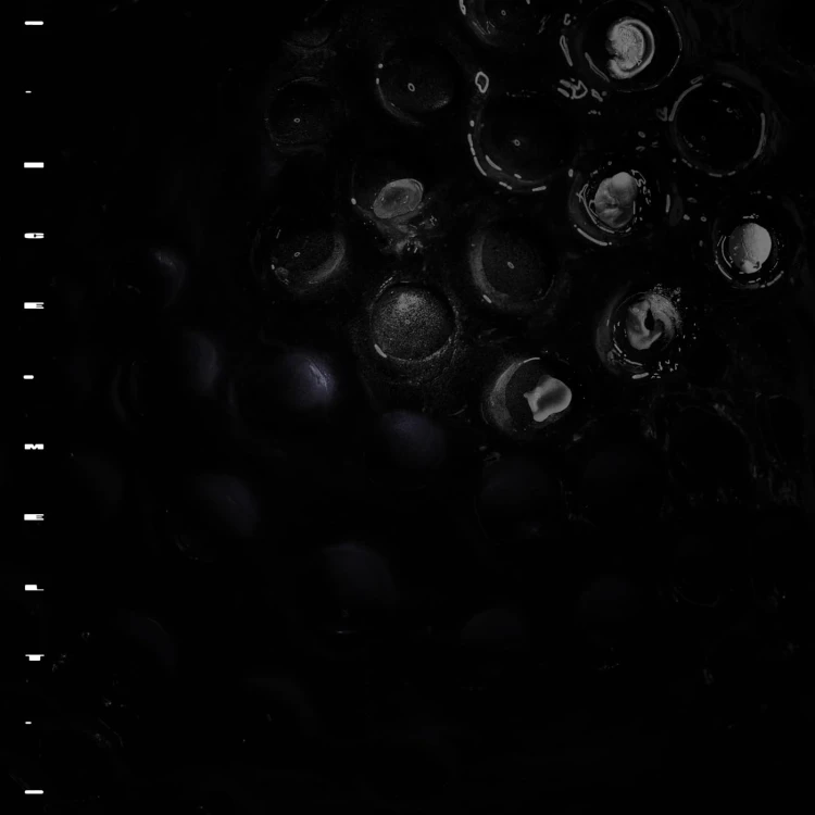 product_107761_1.jpg