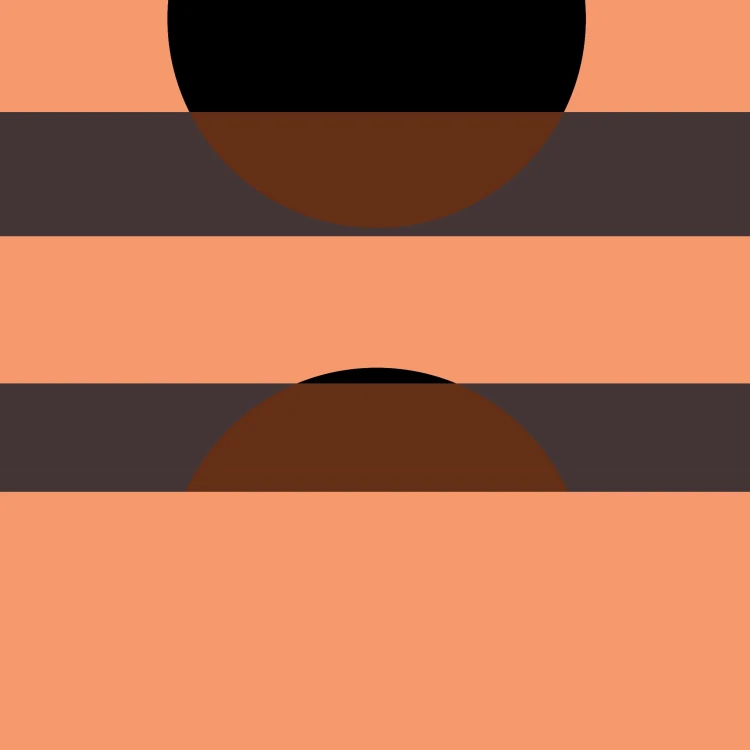 5053760056072.jpg