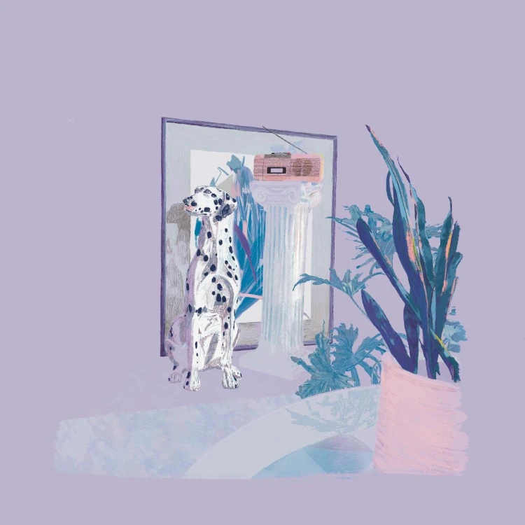 product_113070_1.jpg