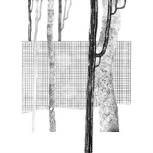 product_113129_1.jpg