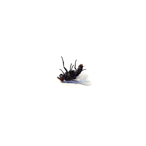 product_118781_1.jpg