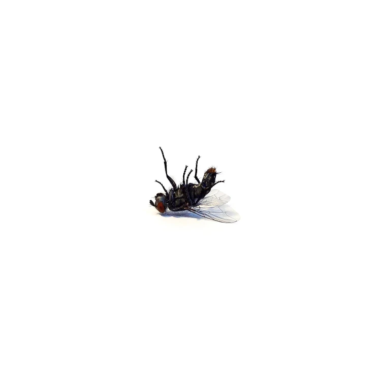 product_118781_1.jpg