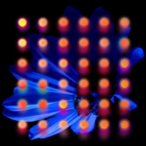 product_132141_1.jpg