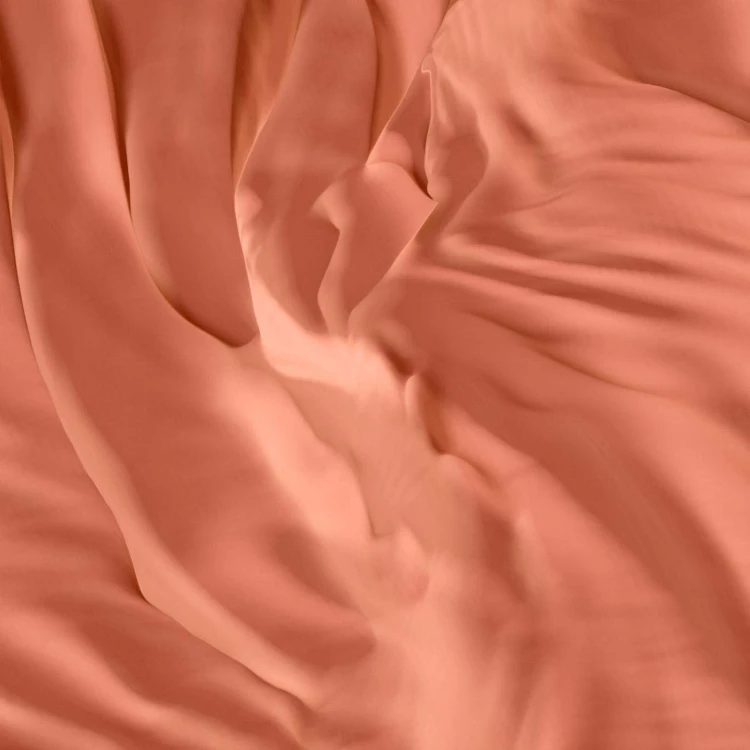 cover_amazon_389415094.jpg