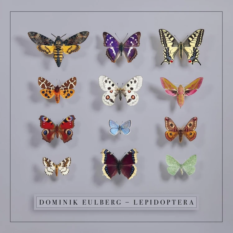 product_23080_1.jpg