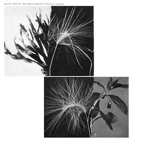 product_150700_1.jpg