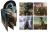 5037899086469-B.png