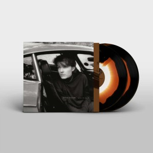 DAVID SYLVIAN - Gone To Earth (COLOR 2xLP)