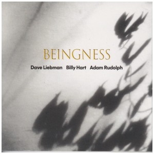 [LP] LEIBMAN,DAVE / HART,BILLY / RUDOLPH,ADAM - BEINGNESS (COLOR VINYL)