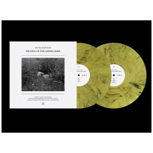[LP] MOVING MOUNTAINS - PRUNING OF THE LOWER LIMBS (SMOKE VINYL)