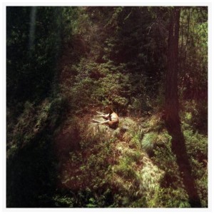 [LP] WILL SAMSON - SINGS AGAIN (TRANSPARENT CLEAR VINYL)