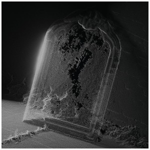 [LP] VISIBLE CLOAKS - PARADESSENCE