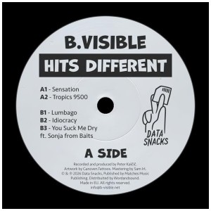 [TIN] B.VISIBLE - HITS DIFFERENT