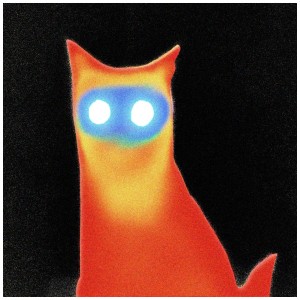 [LP] BASEMENT - WIRED (COKE BOTTLE CLEAR VINYL)