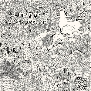 [LP] OF MONTREAL - AETHERMEAD