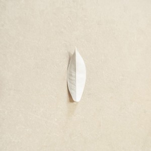 [LP] SYLVAIN CHAUVEAU - COMPLEXITY OF THE SIMPLE