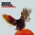 SNOW_PATROL_Fallen_Empires_2XLP_00602527826561.jpg
