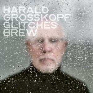 [LP] HARALD GROSSKOPF - GLITCHES BREW