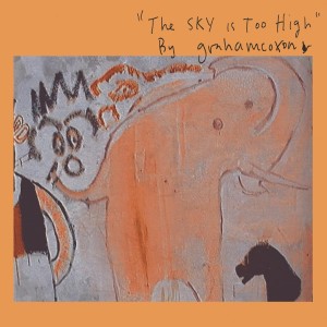 [CD] GRAHAM COXON - SKY IS TOO HIGH