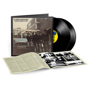 [2LP] FLAMIN' GROOVIES - SHAKE SOME ACTION (50TH ANNI) (BRICK & MORTAR EXCLUSIVE)