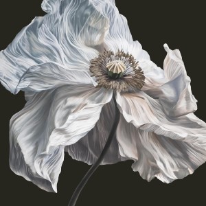 [CD] QUICKSAND - BRING ON THE PSYCHICS