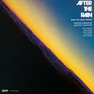 [LP] MABUMI YAMAGUCHI - AFTER THE RAIN