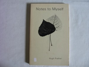 [LP] Notes To Myself - Calle Agua