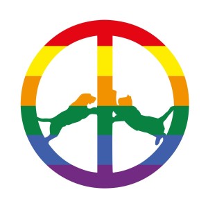 [LP] Hype Williams - Rainbow Edition