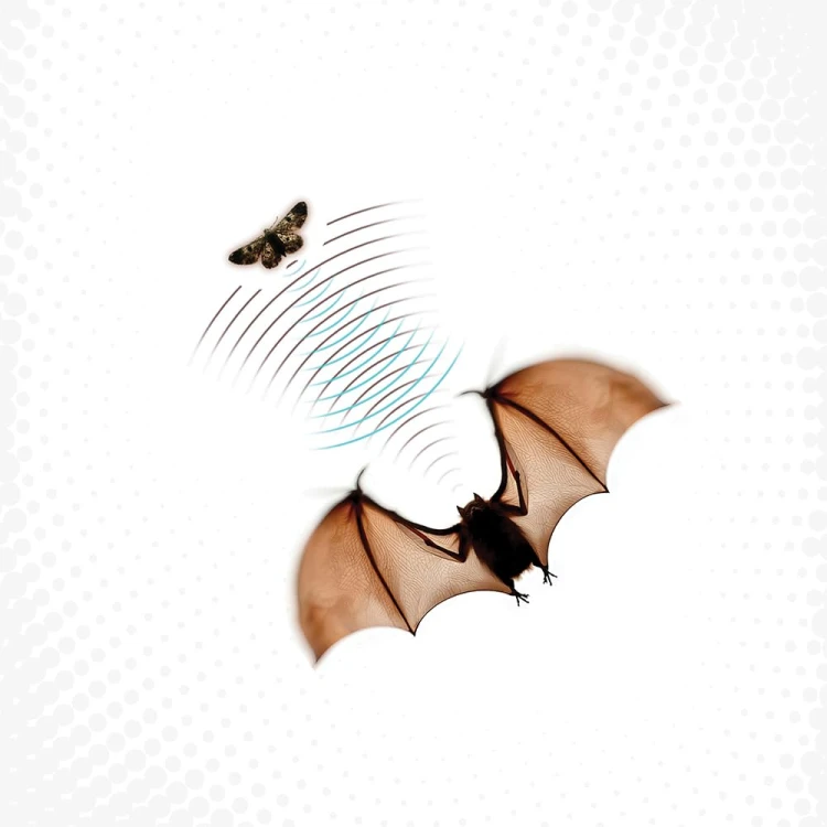product_40297_1.jpg