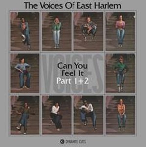 [LP] Voices Of East Harlem, The - Can You Feel It