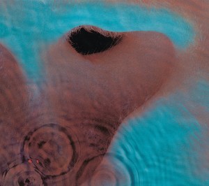 [LP] Pink Floyd - Meddle