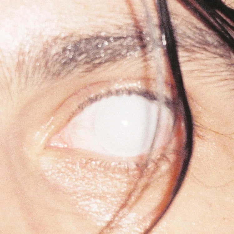 product_50804_1.jpg