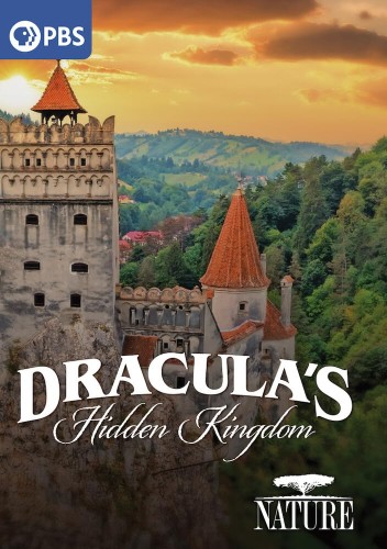 product_66965_1.jpg