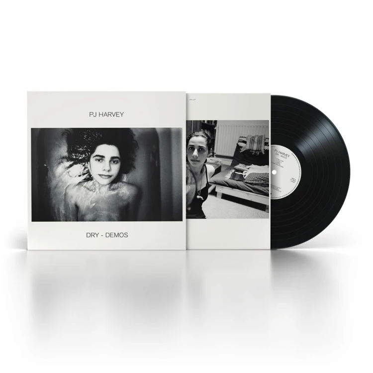 PJ HARVEY DRY - DEMOS LP 0602508782473.jpg