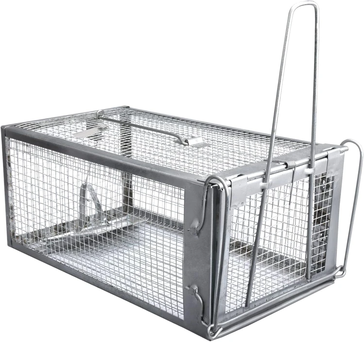 product_73911_1.jpg