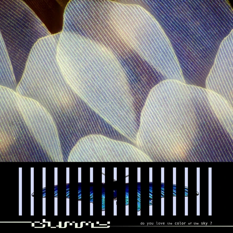 product_73997_1.jpg