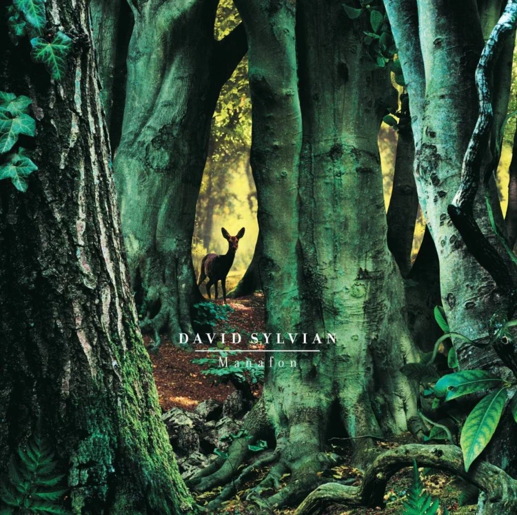 aent_4119323-2859147_1.jpg