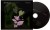 aent_4513466-3625048_1.jpg