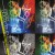 aent_4518850-3669387_1.jpg
