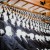 aent_4513376-3591312_1.jpg
